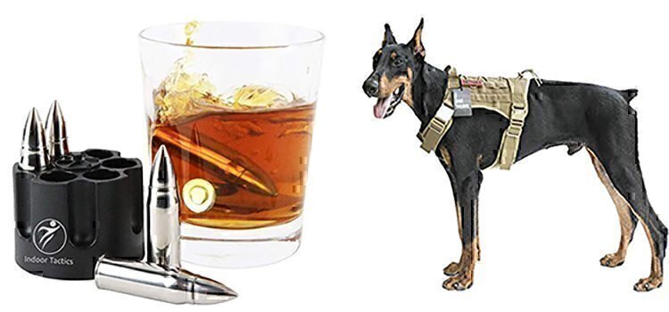 bullet whiskey and dog harness