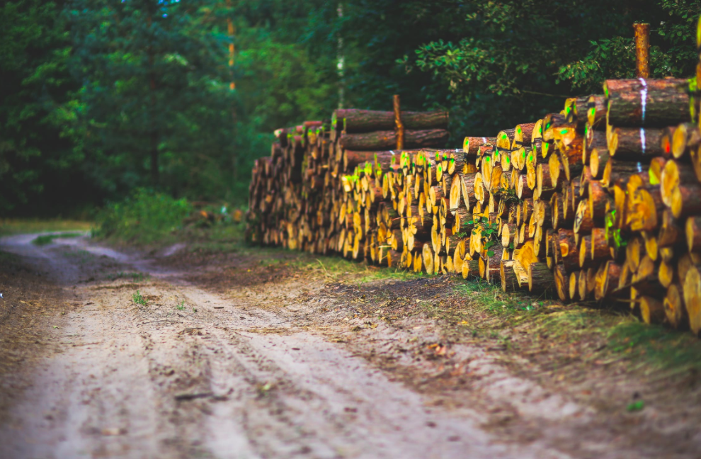 outdoor jobs for veterans