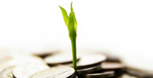 veteran entrepreneur guide
