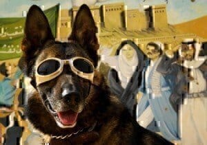 Service Dog