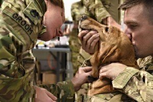 VA and Humane Socieaty