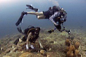 environmental engineering jobs