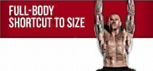 jim stapponi workout plan