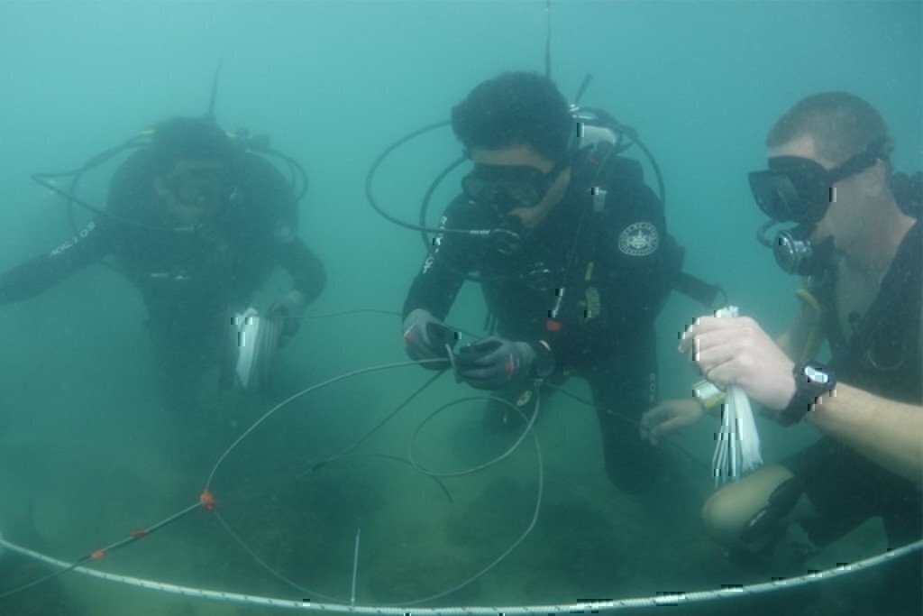 a group of combat divers working under water