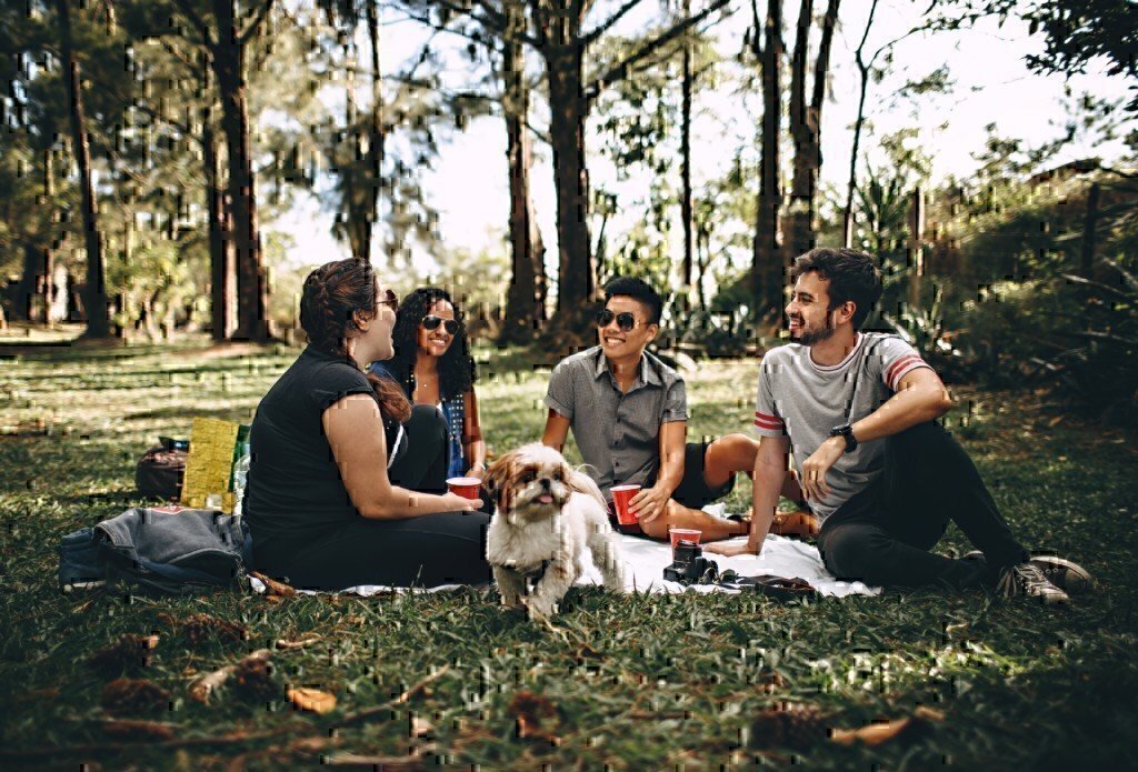 friends talking and communicating together