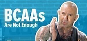 jim stoppani bcaa