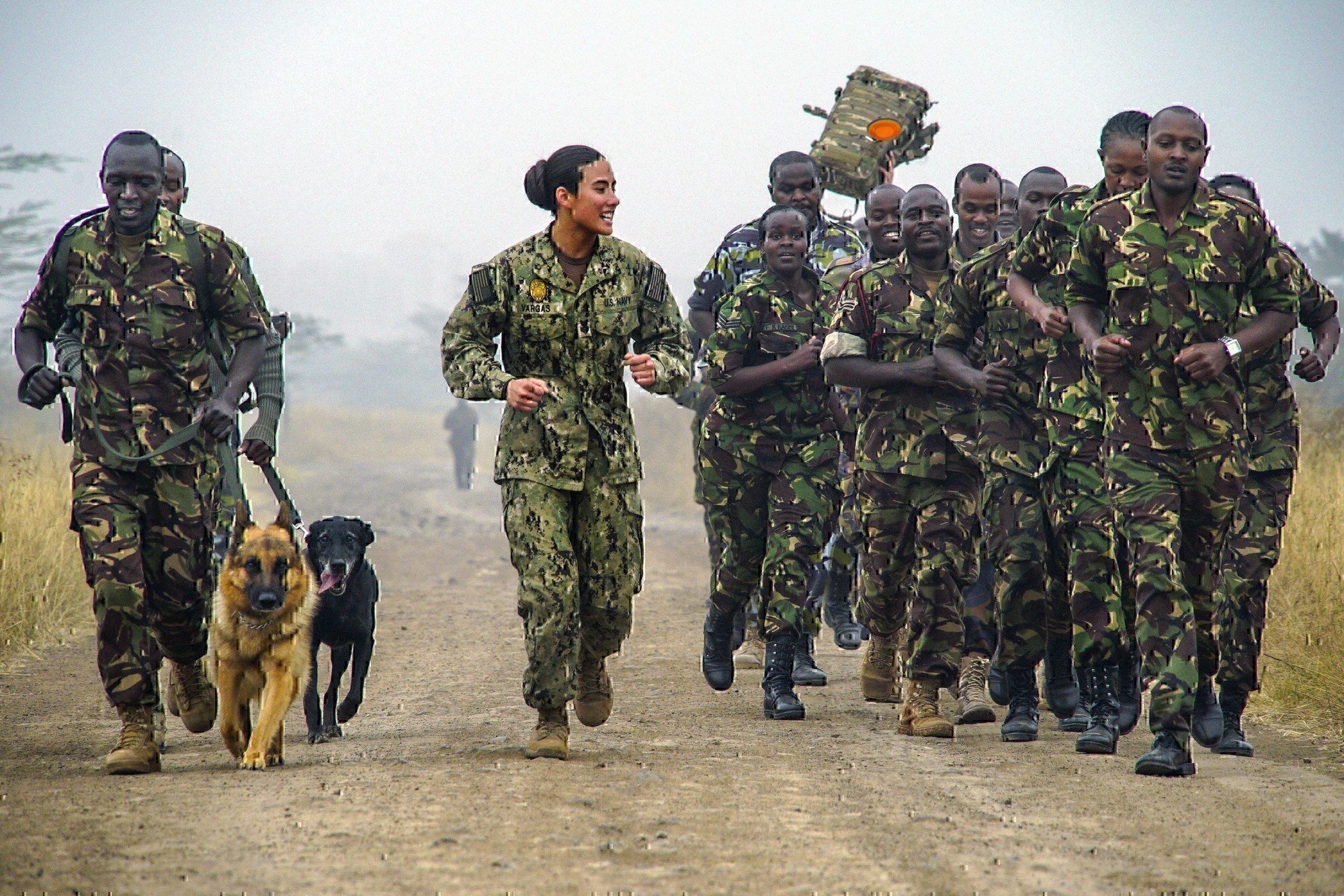 k9 unit dog veteran training