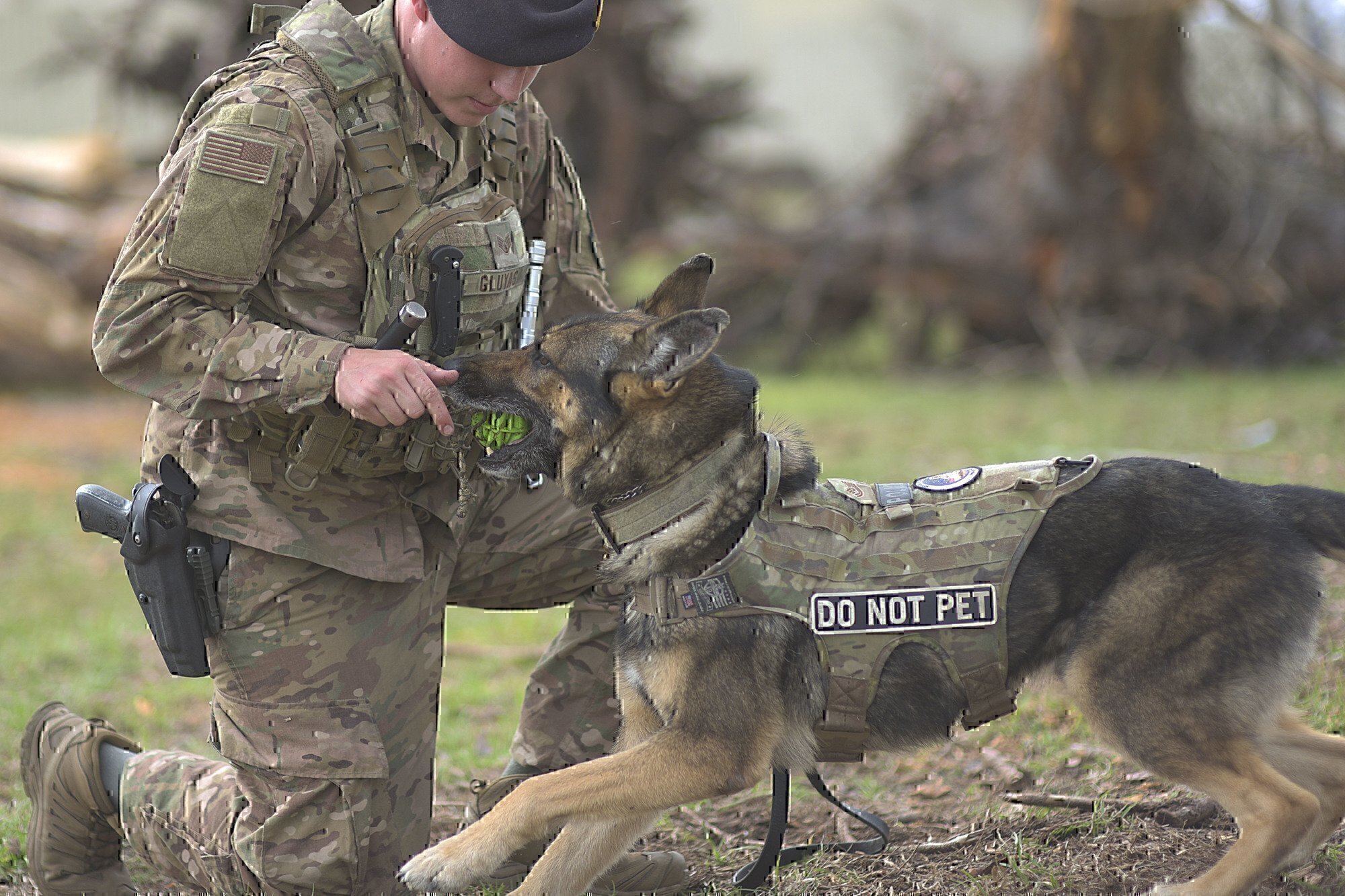 military working dog canine unit