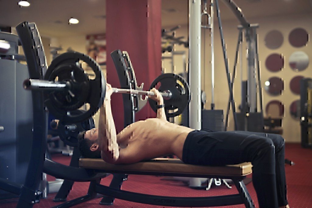 barbell bench press