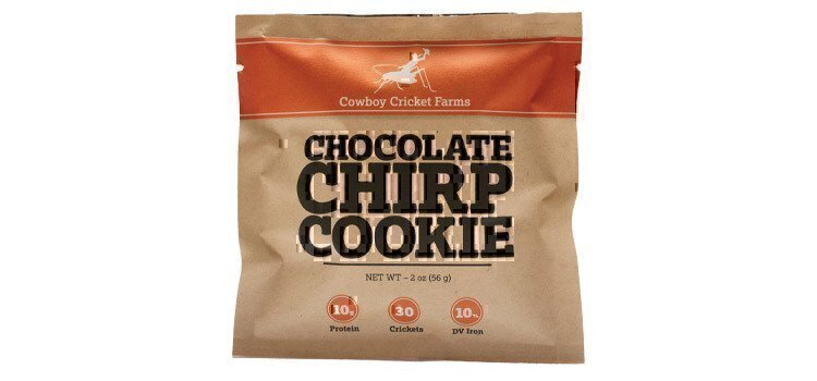 chocolate-chirp-cookies