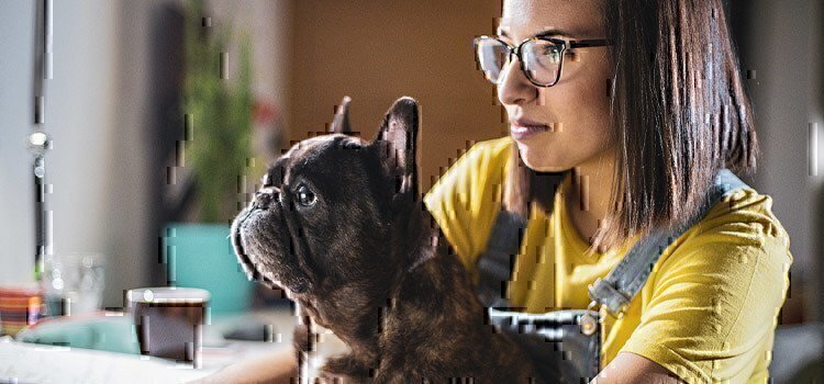 woman-with-french-bulldog