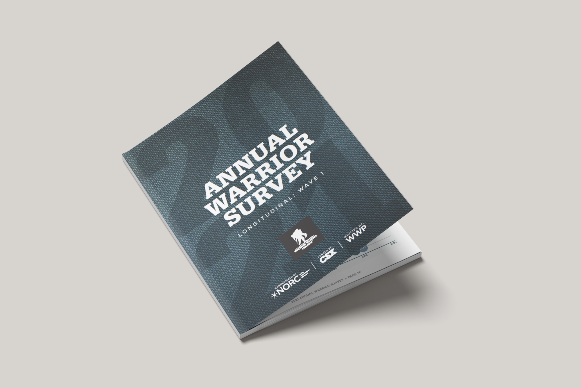 annual warrior survey results from the wounded warrior project
