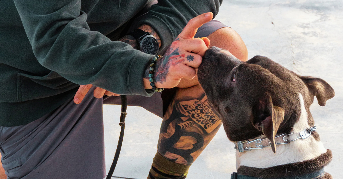 A Paw-sitive Presence: Celebrating National Service Dog Month